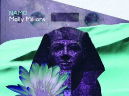 Molly Millions Instrumental Project